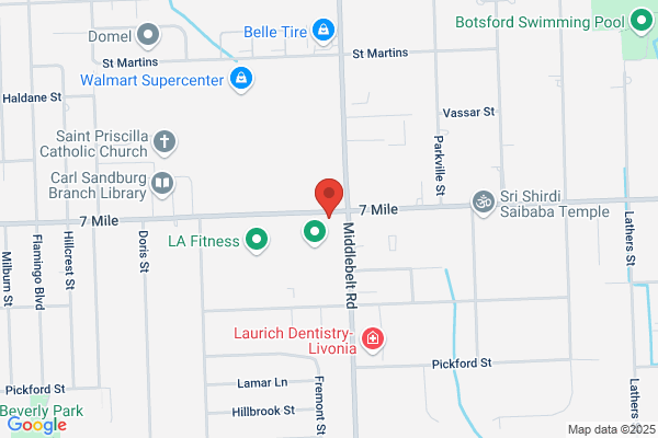 NAPA Auto Parts Livonia
