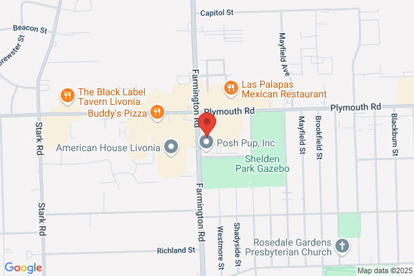 Rite Aid Pharmacies