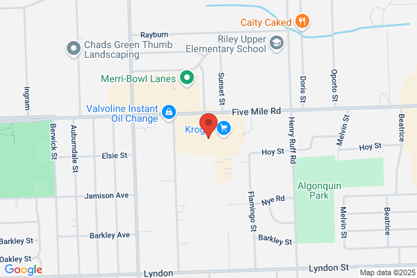 Alpha Garage Springs  Livonia