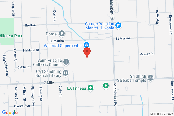 Livonia Mini Market