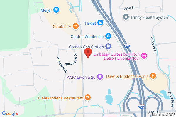 Dynfly Livonia