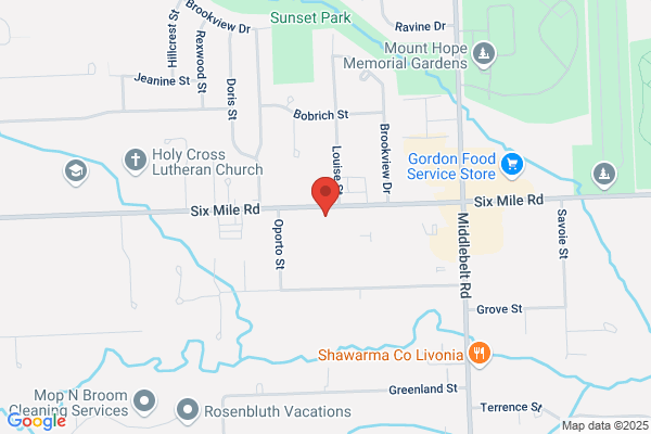 Livonia Opticians