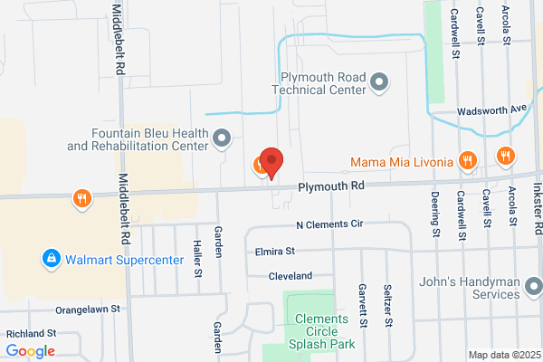 Livonia Water Heater