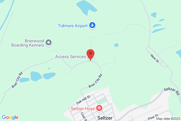 Access Services