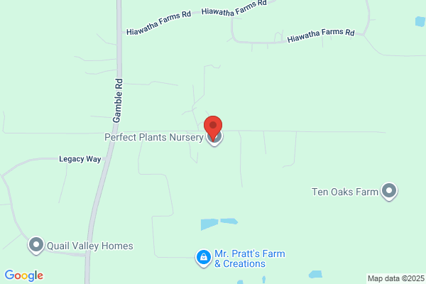 Lloyd Nursery
