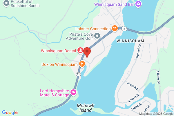 Invisible Fence of NH Lakes Region