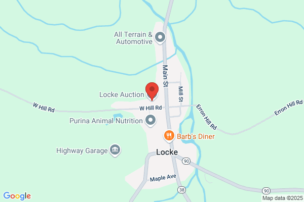 Locke Auction