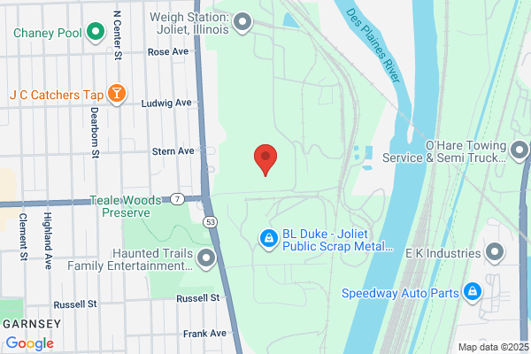 Petric Auto Service Inc