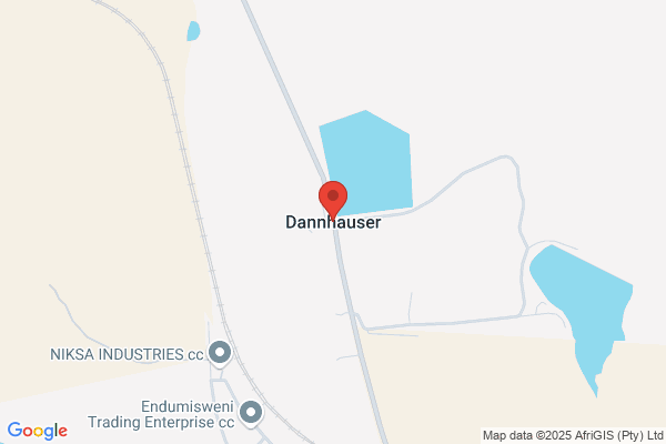 Dannhauser David