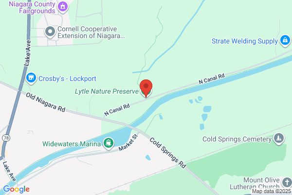 Aalba Reserve Limited