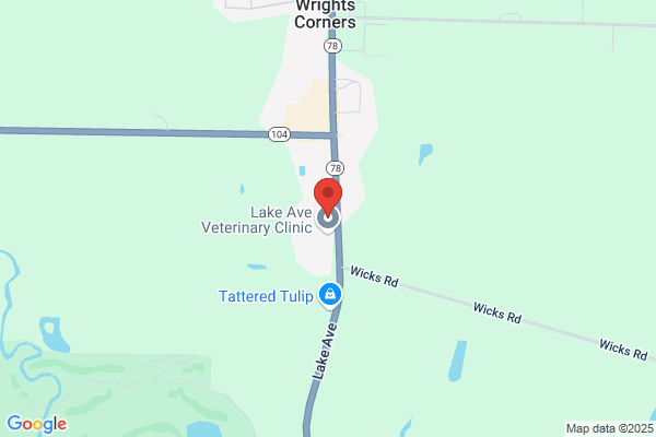 Wrights Corners Self Storage