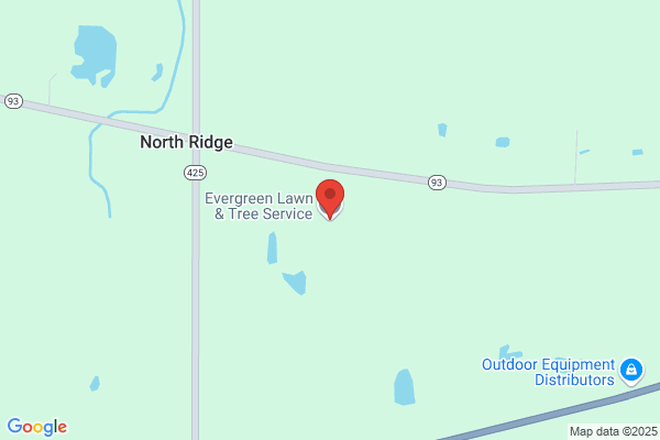 Evergreen Lawn Service
