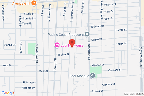 Lodi Iron Works Inc