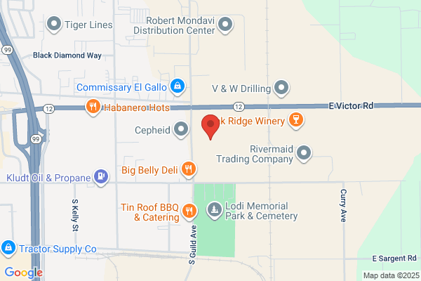 Dart Container Corporation Northern Ca