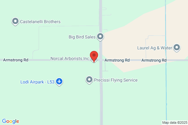 Norcal Arborists