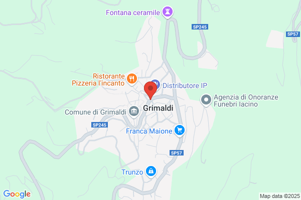 Grimaldi & Grimaldi