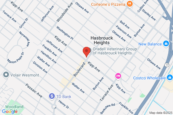 Jr Higgins Realty Inc