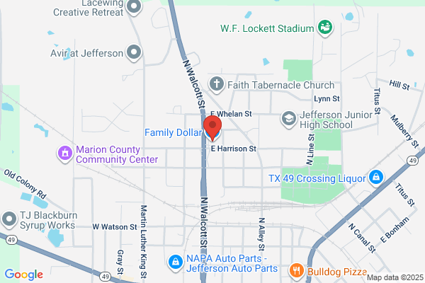 Family Dollar Stores Inc