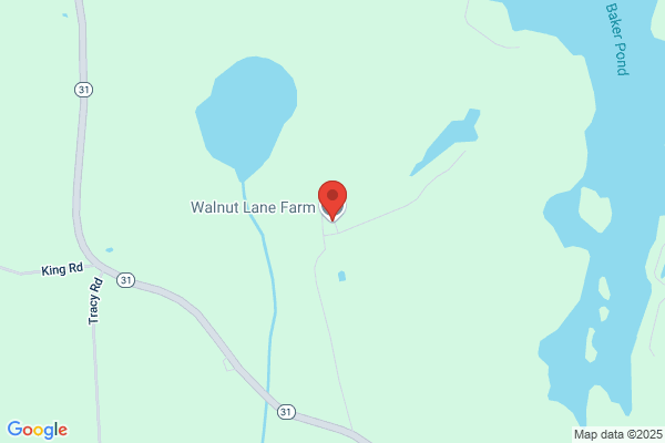 Walnut Lane Ranch