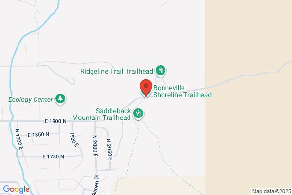 The Trailhead