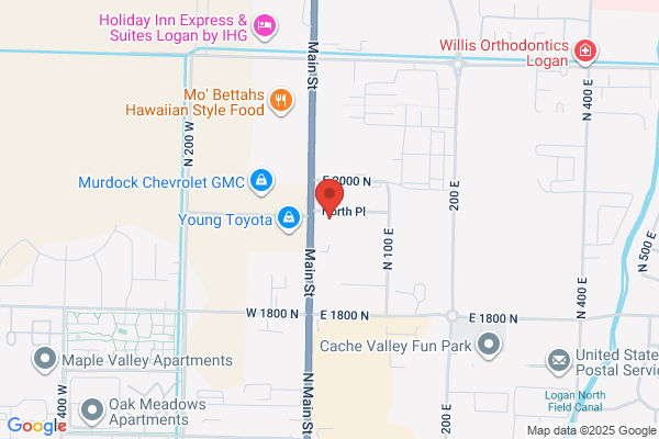 Hollywood Video