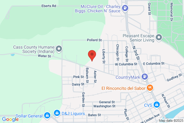 Stebbins Enterprises Inc