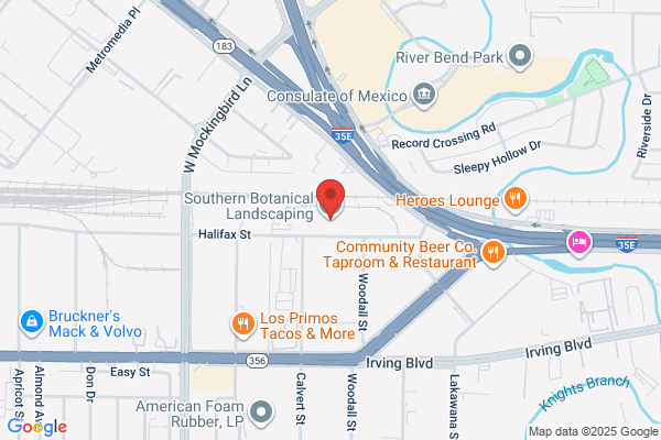 Southern Botany