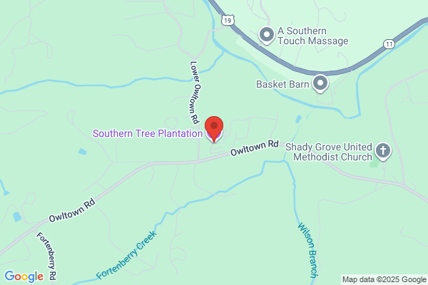 Southern Plantation
