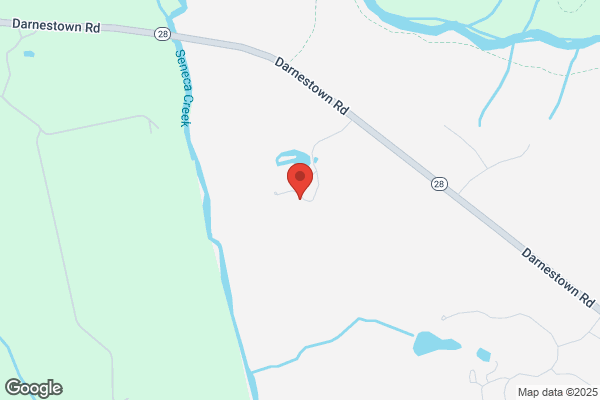 Lost & Found Horse Rescue