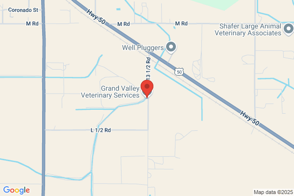Grand Valley Veterinary Services