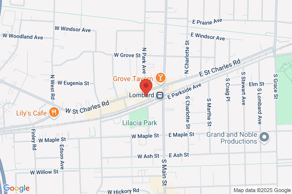 Illinois Title Loans
