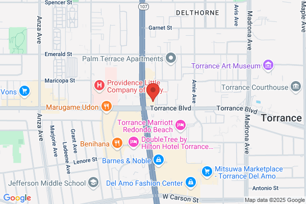 Torrance Computer Service
