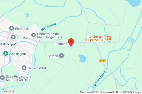 Palmina