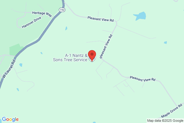 A1 Nantz & Sons Tree Service