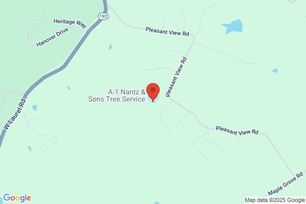 Carter Tree Service
