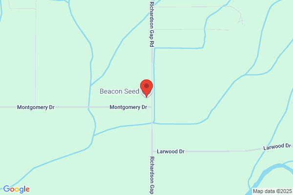 Beacon Seed Service