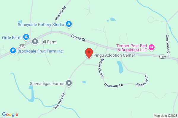 New Hampshire Adoption Bureau, Inc