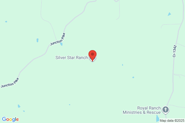 Silver Star Land & Cattle Company
