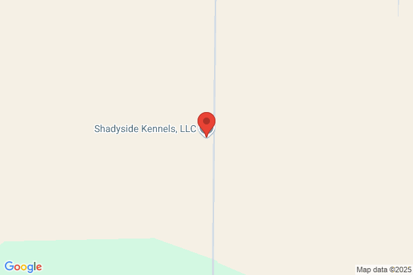 SHADYSIDE  KENNELS, LLC