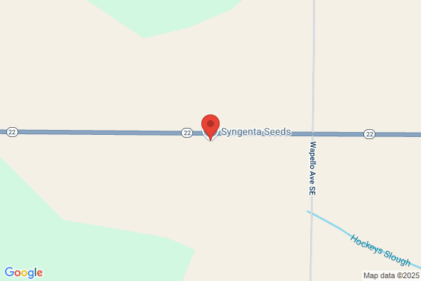 Syngenta Seeds Inc