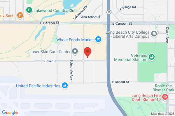Terminal Security Systems Inc