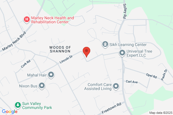 Professional Tree Service