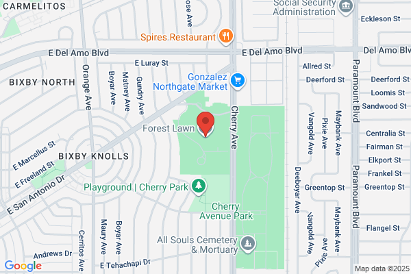 Forest Lawn