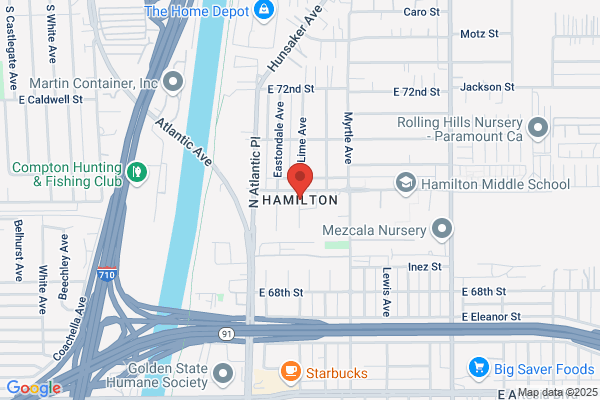 Hamilton Will