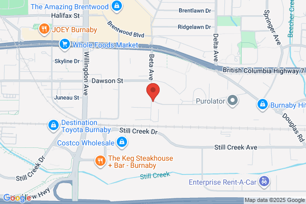 DC Tree Service