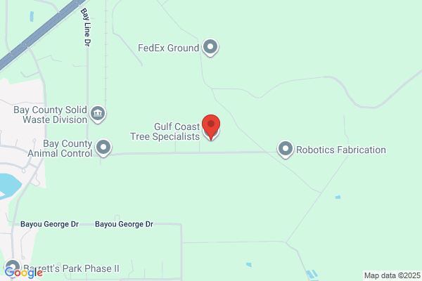 Gulf Coast Tree Specialists
