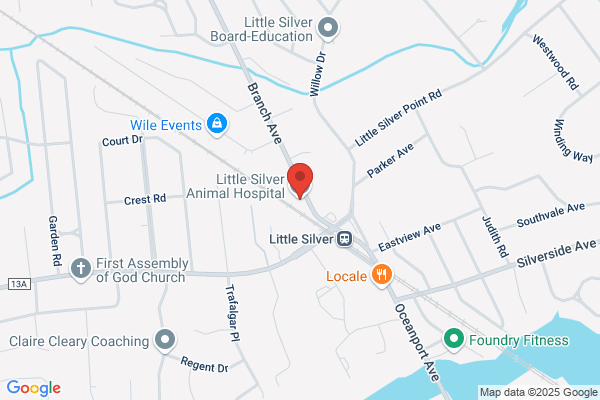 Little Silver Animal Hospital