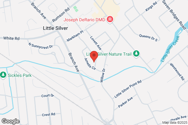 Little Silver Electric Inc