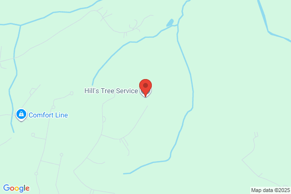 Hill's Tree Service