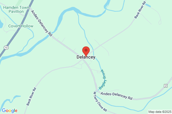 Delancey Desserts Co Inc